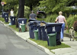 toronto-waste-collection-guide
